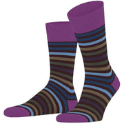 falke-tinted-stripe-socks---rioja-purple-34390068