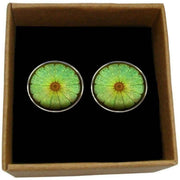 Bassin and Brown Lime Fruit Cufflinks - Green